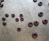 Townley Corozo Buttons / 15mm, 18mm or 20mm / Set of 6