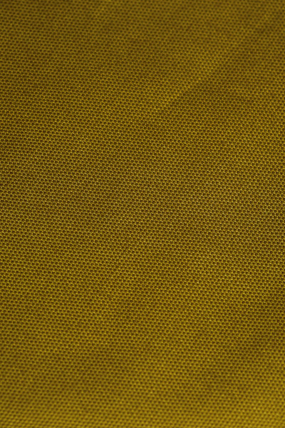 Cotton Oxford / Pickle
