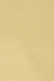 Linen Viscose Twill / Buttercup