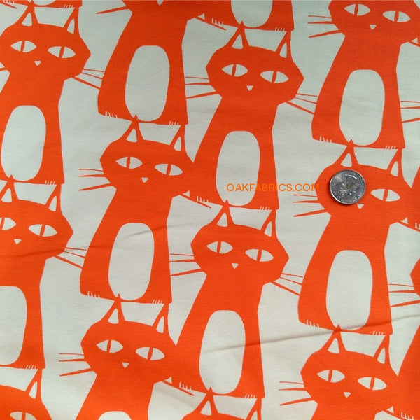 Jersey Knit / Bewitched Kitties / Bright Orange